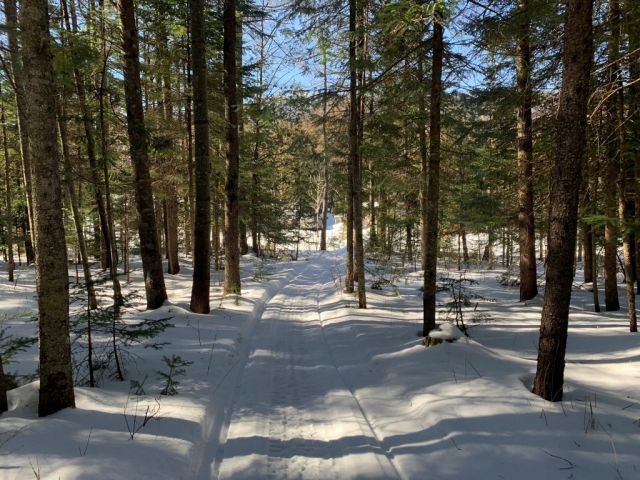 Sentier marche, raquettes, ski de fond au camping et chalets dans les arbres Mont-Mégantic
